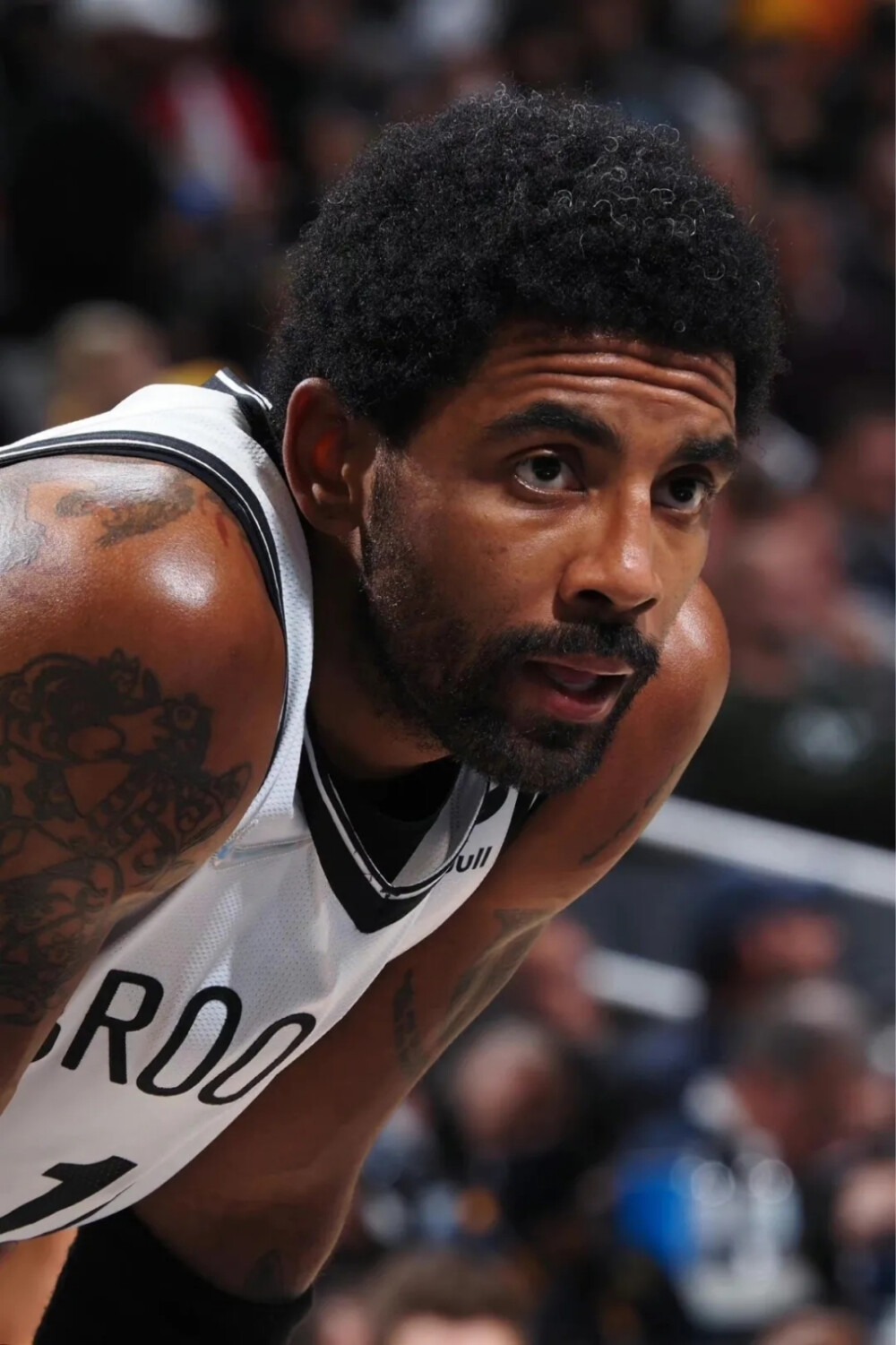 逼入险境 逼入险境